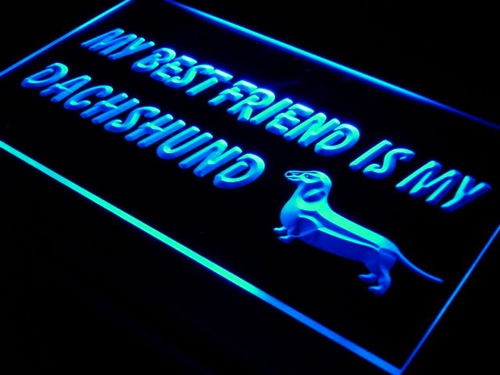 Best Friend Dachshund Dog Pet Neon Light Sign